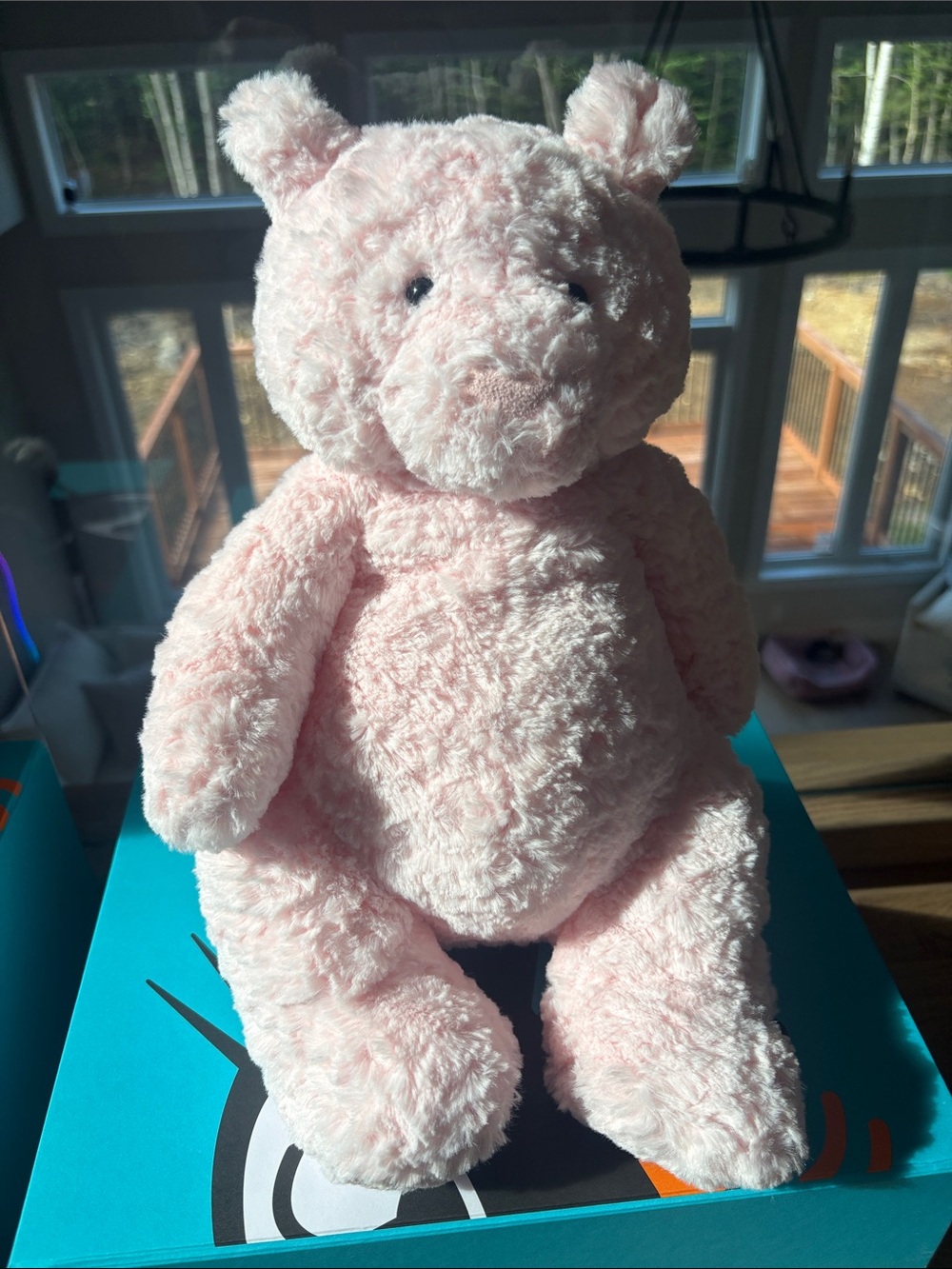 THE Leola Bear LARGE! BNWT, tag protector, dustbag, care instructions &more.
